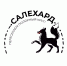 Салехардцы выберут логотип города и смогут получить призы - ИА Север-Пресс