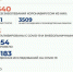 На Ямале зарегистрировано меньше 50 новых случаев COVID-19 за сутки - Красный Север