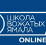 На Ямале запускают онлайн-школу для вожатых - ИА Север-Пресс