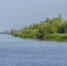 Ученые определили качество воды в реке Обь - МО Ямальский район