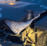 На дорогах Ямала в авариях пострадали четыре человека за сутки - ИА Север-Пресс