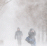 Фото: Dmitriy Kochergin / Shutterstock / Fotodom - Красный Север