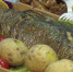 В Тазовском состоялся фестиваль для тех, кто кусочек мяса или рыбы может превратить в мишленовский шедевр - ГТРК Ямал