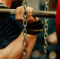 Фото: Real Sports Photos/Shutterstock/Fotodom - Ямал-Медиа