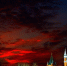 Фото: Timofeev Vladimir/Shutterstock/Fotodom - Ямал-Медиа