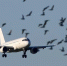 Фото: Fasttailwind/Shutterstock/Fotodom - Ямал-Медиа