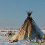 Фото: nenets/Shutterstock/Fotodom - Красный Север