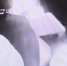 В Салехарде сотрудники Госавтоинспекции провели усиленную работу по выявлению нарушителей ПДД - УМВД Ямало-Ненецкого АО 