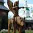 Фото: Vladimir Tretyakov/Shutterstock/Fotodom - Ямал-Медиа