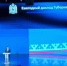 Фото: «Ямал-Медиа» - Ямал-Медиа