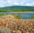 Фото: Karasev Viktor/Shutterstock/Fotodom - Ямал-Медиа