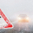 Фото: Igor Link/Shutterstock/Fotodom - Ямал-Медиа