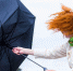 Фото: Rainer Fuhrmann/Shutterstock/Fotodom - Ямал-Медиа