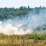 Фото: aapsky/Shutterstock/Fotodom - Ямал-Медиа