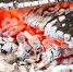 Фото: Tolberto/Shutterstock/Fotodom - Ямал-Медиа