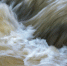 Фото: Josef Jankola/Shutterstock/Fotodom - Ямал-Медиа
