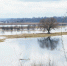 Фото: SkazovD/Shutterstock/Fotodom - Ямал-Медиа