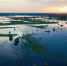 Фото: Vadvenn/Shutterstock/Fotodom - Ямал-Медиа