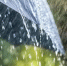 Фото: Brian A Jackson/Shutterstock/Fotodom - Ямал-Медиа