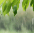 Фото: Stock Holm/Shutterstock/Fotodom - Ямал-Медиа