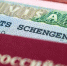 Фото: Southern Wind/Shutterstock/Fotodom - Ямал-Медиа