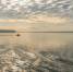 Фото: Anney_Lier/Shutterstock/Fotodom - Ямал-Медиа