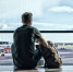 Фото: Kaspars Grinvalds/Shutterstock/Fotodom - Ямал-Медиа