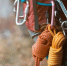 Фото: africa_pink/Shutterstock/Fotodom - Ямал-Медиа