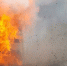 Фото: Serhii Yushkov/Shutterstock/Fotodom - Ямал-Медиа