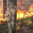 Кадр видео канала rutube.ru/video/20058a1c73e33038682e790ff4b52079/?utm_source=embed&utm_medium=referral&utm_campaign=logo&utm_content=20058a1c73e33038682e790ff4b52079&utm_term=yastatic.net&t=7 - Ямал-Медиа