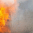 Фото: Serhii Yushkov/Shutterstock/Fotodom - Ямал-Медиа