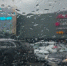 Фото: thekovtun/Shutterstock/Fotodom - Ямал-Медиа