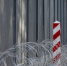Фото: Karolis Kavolelis/Shutterstock/Fotodom - Ямал-Медиа