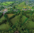 Село Головчино. Фото: Валерия Белевцева/google.com/maps - Ямал-Медиа