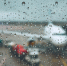 Фото: Jaromir Chalabala/Shutterstock/Fotodom - Ямал-Медиа