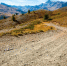 Фото: OFFFSTOCK/Shutterstock/Fotodom - Ямал-Медиа