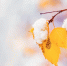 Фото: YRABOTA/Shutterstock/Fotodom - Ямал-Медиа