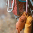 Фото: africa_pink/Shutterstock/Fotodom - Ямал-Медиа