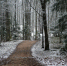 Фото: nadia_if/Shutterstock/Fotodom - Ямал-Медиа