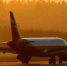 Фото: Fasttailwind/Shutterstock/Fotodom - Ямал-Медиа