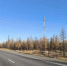 Инфраструктура связи на дороге Надым — Салехард пополнилась оператором МТС - Департамент информационных технологий и связи