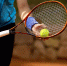 Фото: Maxisport/Shutterstock/Fotodom - Красный Север