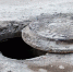 Фото: FotograFFF/Shutterstock/Fotodom - Ямал-Медиа