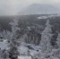 Фото: Ivan Okuntsov/Shutterstock/Fotodom - Ямал-Медиа