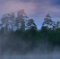 Фото: Ondrej Prosicky/Shutterstock/Fotodom - Ямал-Медиа