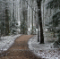 Фото: nadia_if/Shutterstock/Fotodom - Ямал-Медиа
