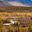 Фото: eastfootage/Shutterstock/Fotodom - Ямал-Медиа