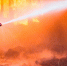 Фото: Art Konovalov/Shutterstock/Fotodom - Ямал-Медиа