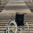 Фото: Reshetnikov_art/Shutterstock/Fotodom - Ямал-Медиа