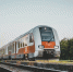Фото: Peter Kniez/Shutterstock/Fotodom - Ямал-Медиа